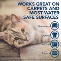 Valiklis kačių kvapų ir dėmių šalinimui Simple Solution Extreme Cat Stain & Odour Remover 500 ml