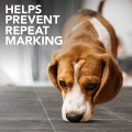Valiklis šunų kvapų ir dėmių šalinimui Simple Solution Extreme Dog Stain & Odour Remover 750 ml